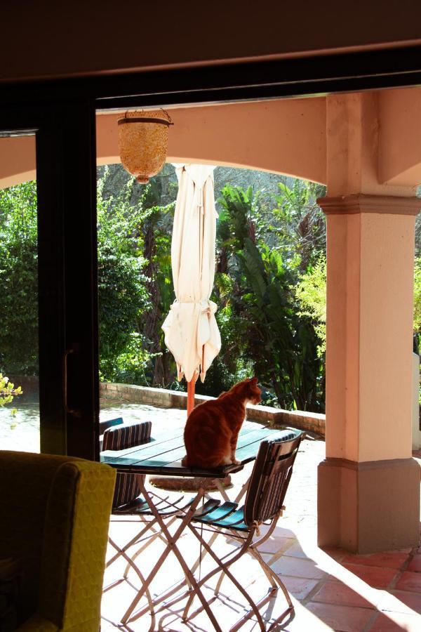 קייפטאון Southern Light Country House מראה חיצוני תמונה