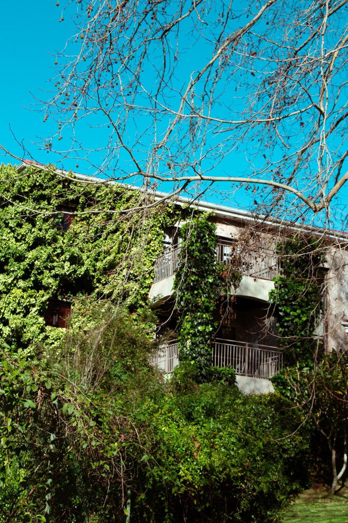 קייפטאון Southern Light Country House מראה חיצוני תמונה
